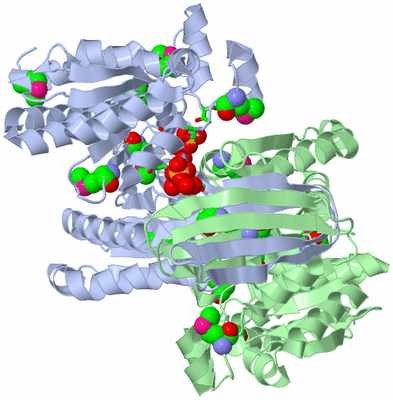 Image Asym./Biol. Unit - sites