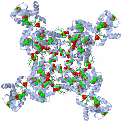 Image Biol. Unit 1 - sites