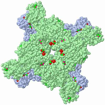 Image Biological Unit 3