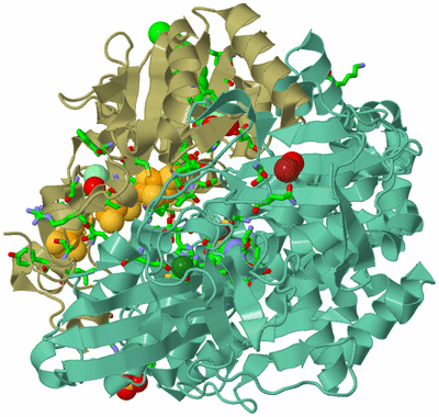 Image Biol. Unit 1 - sites