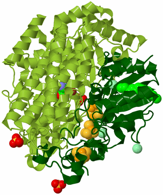 Image Biological Unit 2