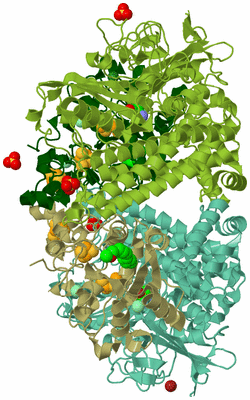 Image Biological Unit 3