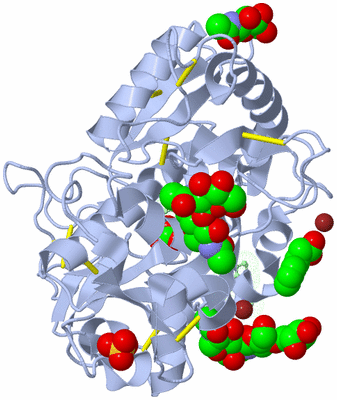 Image Asym./Biol. Unit