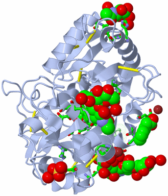 Image Asym./Biol. Unit - sites