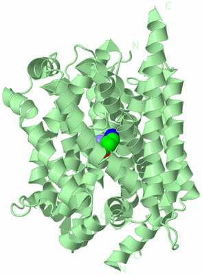 Image Biological Unit 2