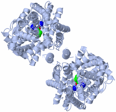 Image Biological Unit 3