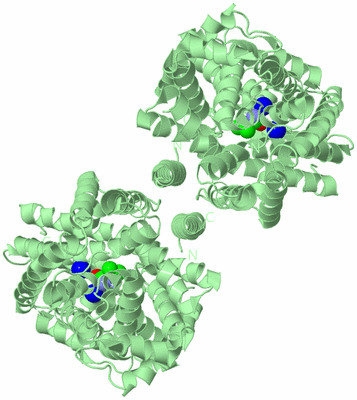 Image Biological Unit 4