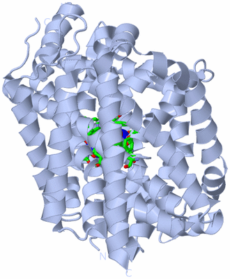 Image Biol. Unit 1 - sites