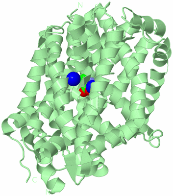 Image Biological Unit 2