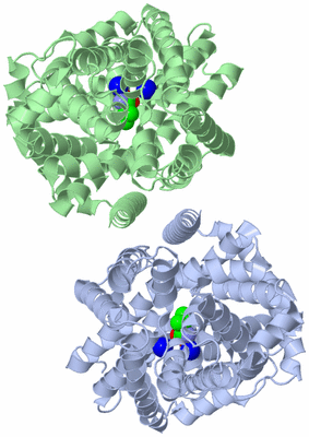 Image Biological Unit 3