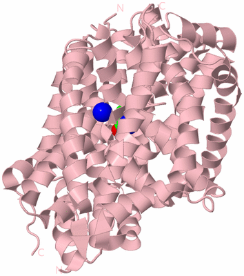 Image Biological Unit 3