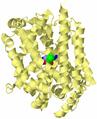 Image Biological Unit 4