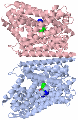 Image Biological Unit 5