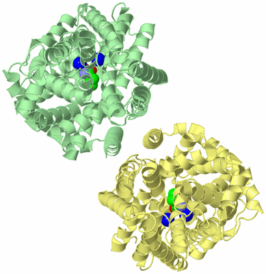 Image Biological Unit 6