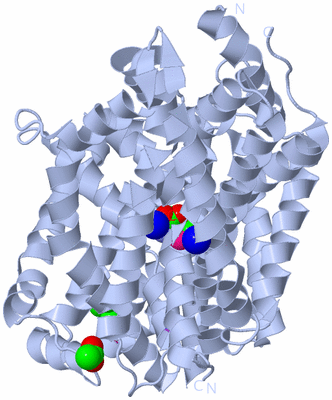 Image Biological Unit 1