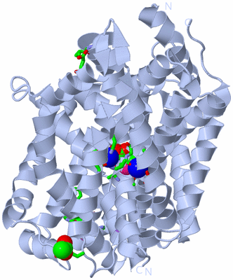 Image Biol. Unit 1 - sites