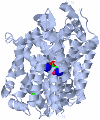 Image Biological Unit 1