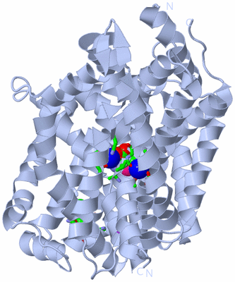 Image Biol. Unit 1 - sites