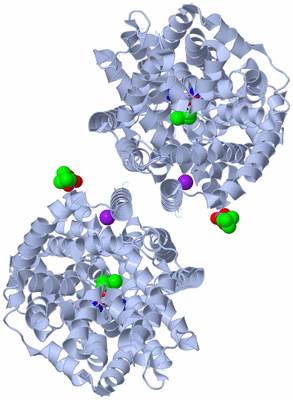 Image Biological Unit 2