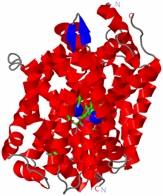 Image Asym. Unit - sites