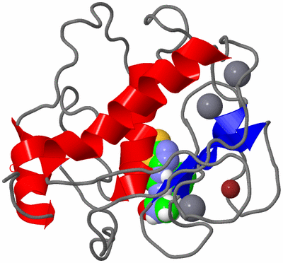 Image NMR Structure - model 1