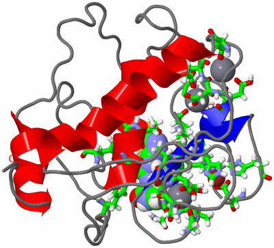 Image NMR Structure - model 1, sites