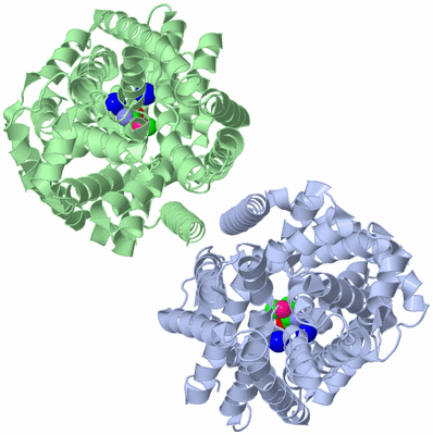 Image Biological Unit 3