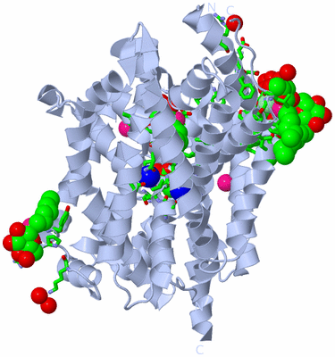 Image Biol. Unit 1 - sites