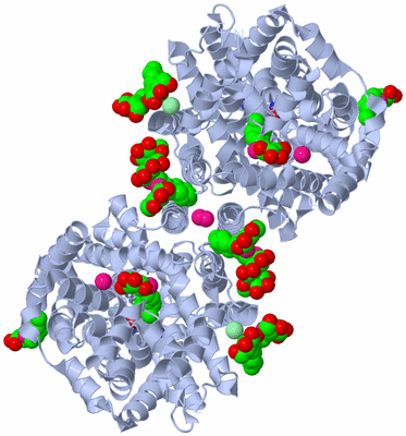 Image Biological Unit 2