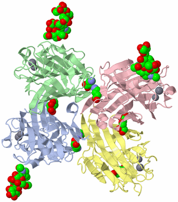 Image Biological Unit 1