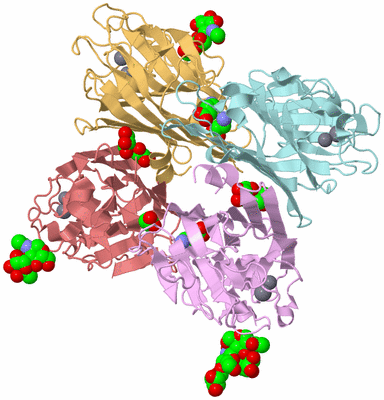 Image Biological Unit 2