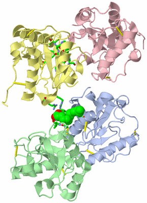 Image Asym./Biol. Unit - sites