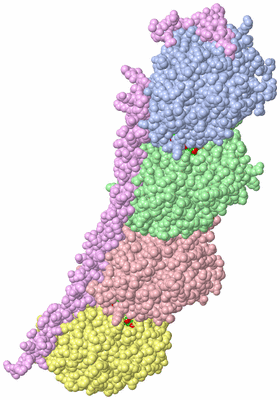 Image Asym./Biol. Unit - sites