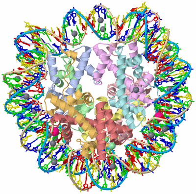 Image Asym./Biol. Unit