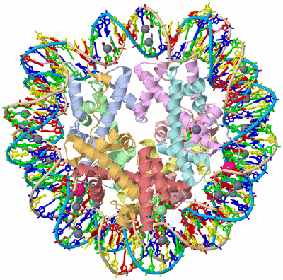 Image Asym./Biol. Unit - sites