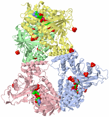 Image Asym./Biol. Unit