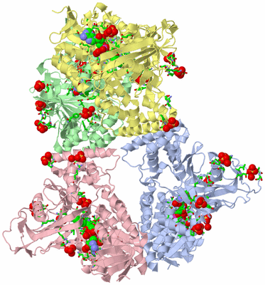 Image Asym./Biol. Unit - sites