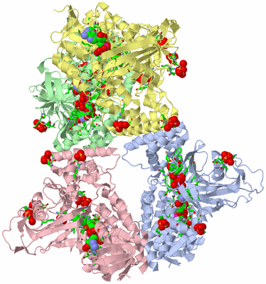 Image Asym./Biol. Unit - sites