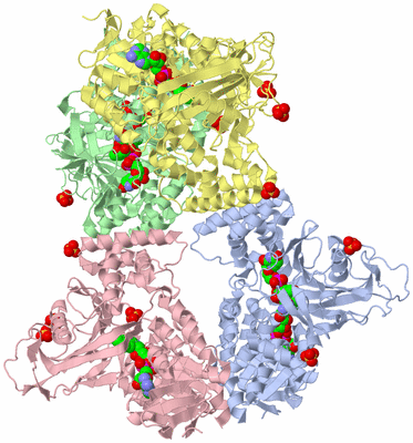 Image Asym./Biol. Unit