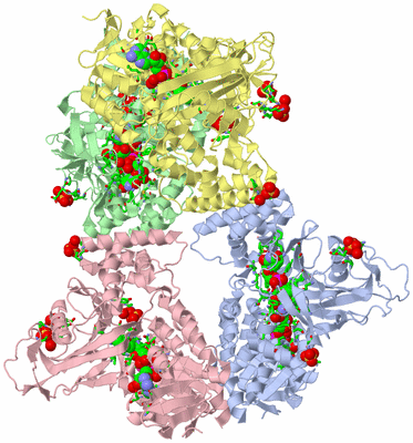 Image Asym./Biol. Unit - sites