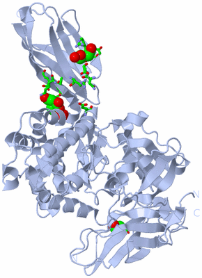 Image Biol. Unit 1 - sites