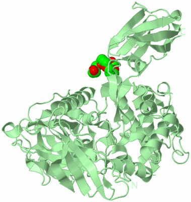 Image Biological Unit 2