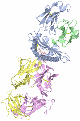 Image Biological Unit 1