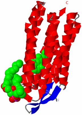 Image Asymmetric Unit