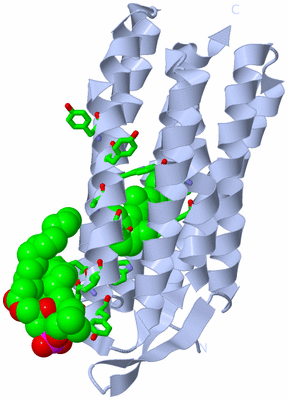 Image Biol. Unit 1 - sites