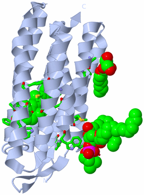 Image Biol. Unit 1 - sites