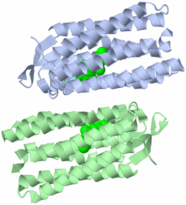 Image Biological Unit 3