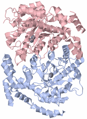 Image Biological Unit 1