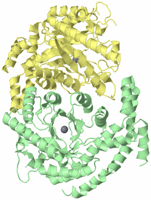 Image Biological Unit 2