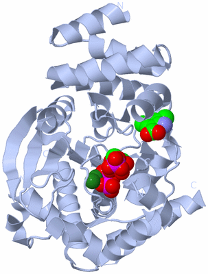 Image Biological Unit 1